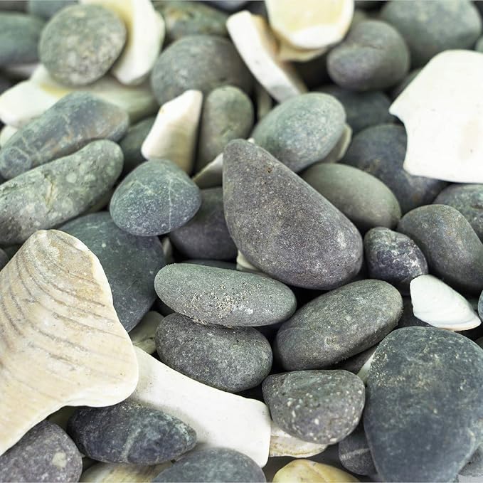 Southwest Boulder & Stone Mexican Beach Pebbles | 20 Pounds of Smooth Unpolished Stones | Hand-Picked, Premium Pebbles for Garden and Landscape Design | San Quintín, 5/8 Inch - 7/8 Inch
