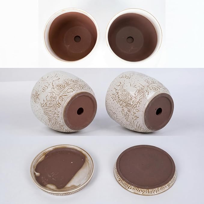 Claybourne Embossed Terracotta Plant Pots with Drainage Hole & Saucer, 4/6/8 Inch, Indoor/Outdoor Planter with Pebbles (White（Forest Elf）, 6 inch)