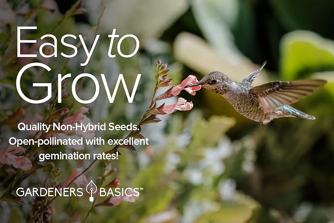 Gardeners Basics, Hummingbird Seeds for Planting Outdoors Flower Seeds (5 Variety Pack) Zinnia, Foxglove, Lupine, Morning Glory, Snapdragons Varieties for Bees, Pollinators Wildflower Seed