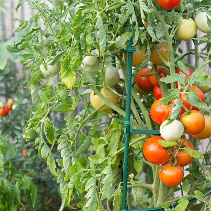 Growsun 6ft Garden Stakes Metal Plastic Coated Plant Cage Supports Tomato Stakes Trellis Climbing for Tomatoes,Trees,Cucumber,Fences,Beans,25 Pack