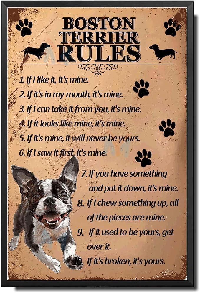 Metal Sign Tin Sign Vintage Wall Art Boston Terrier Rules Garden Tin Sign for Bar 6×8 Inches with Metal Frame