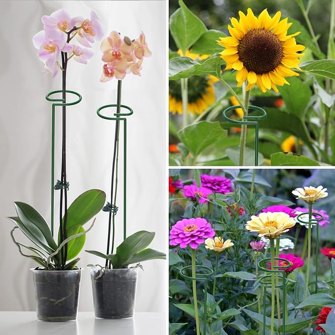 Unves 16" Tall Plant Support Stakes, 12 Pack Garden Flower Plant Stakes Single Stem, Garden Plant Support Cages Rings for Amaryllis Orchid Peony Rose, with 100 Pcs Twist Ties