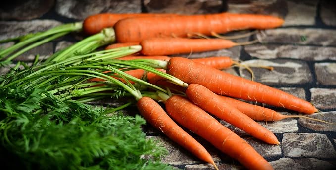 Black Duck Brand Set of 43 Vegetable and Herb Seeds - Semi Assorted - 100 Percent Non-GMO & Heirloom - Great for Starting a Garden! High Germination Rate! (43)