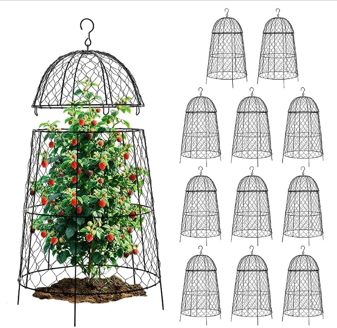 12Pcs garden cloche for plants,20×12.6in large size plant cages for outdoor plants,split design and anti-rust coated chicken wire cloche,sturdy and not easy to deform,plant cages to keep animals out
