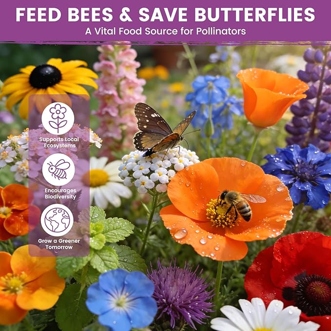 Wildflower Seeds Bulk Mix - 10,000+ Perennial & Annual Seeds - Texas, California & Florida Native Wildflower Seeds for Hummingbirds, Butterflies, & Cut Flowers - Cosmos, Throw and Grow