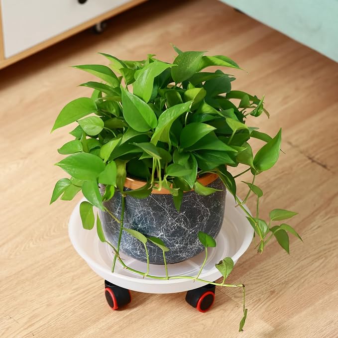 6 Packs 13 Inches Large Plant Caddy Plant Saucers on Wheels Rolling Plant Stands Heavy-Duty Plant Dolly Plastic Planter Roller Base Pot Movers Outdoor Plant Tray Coaster