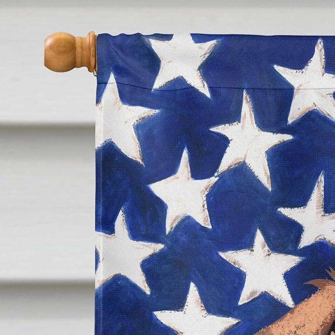 Caroline's Treasures CK6444CHF Boerboel Dog American Flag House Flag Large Porch Sleeve Pole Decorative Outside Yard Banner Artwork Wall Hanging, Polyester, House Size, Multicolor