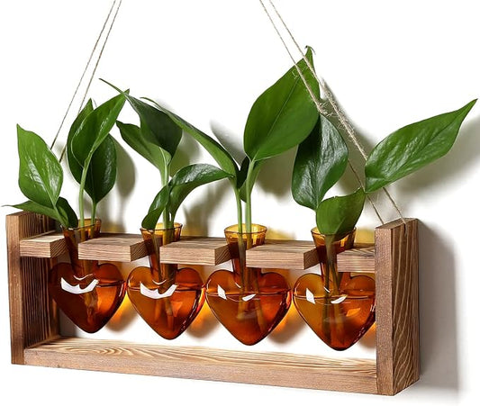Plant Propagation Stations Heart Plant Terrarium Kit | Gift for Women Plant Lover Glass Vases