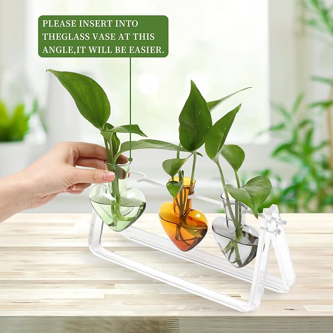 Clear Plant Terrarium Propagation Stations with Acrylic Stand | Birthday Gifts for Women Office Home Decor