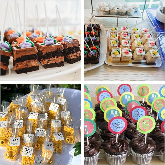 COOLAKE 600 PCS Cake Pop Sticks and Wrappers Kit, Including 200 Pcs 6 inch Paper Lollipop Sticks, 200 Pcs Clear Treat Bags Twist Ties for Cakepop, Lollipop, Hard Candy, Suckers, Chocolate