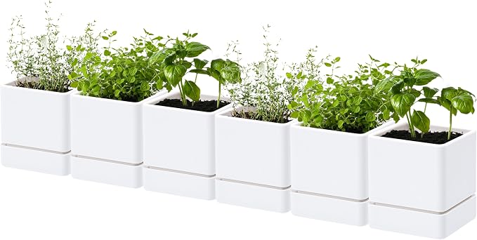 D'vine Dev 4 Inch Herb Planter Pot, Plastic Planter with Drainage Holes and Saucer, Modern Decorative Gardening Pot for Indoor Plants, Flowers, Herbs, Succulents, White, Set of 6, 76-Y-A6-1