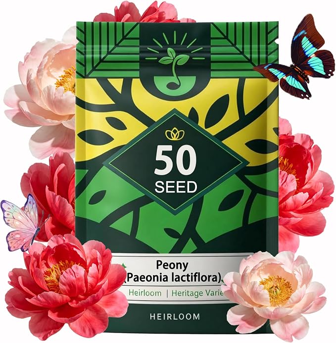 Peony Seeds (Paeonia lactiflora), Long-Lived Perennial Flowers, Large Fragrant Blooms, Lush Double-Style Landscape Focal Point, Pack of 50 Seeds