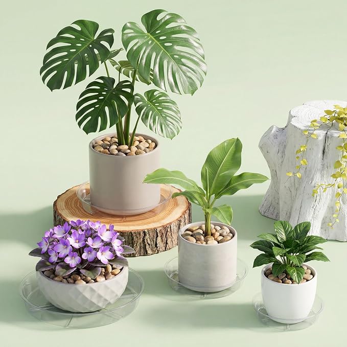 Gejoy 60 Pack Plant Saucers 6inch /8inch /10inch, Thick Durable Clear Plastic Plant Trays for Pots, Heavy Duty Drip Trays Water Catcher Flower Pot Saucers for Indoor Outdoor, Prevent Water Overflow