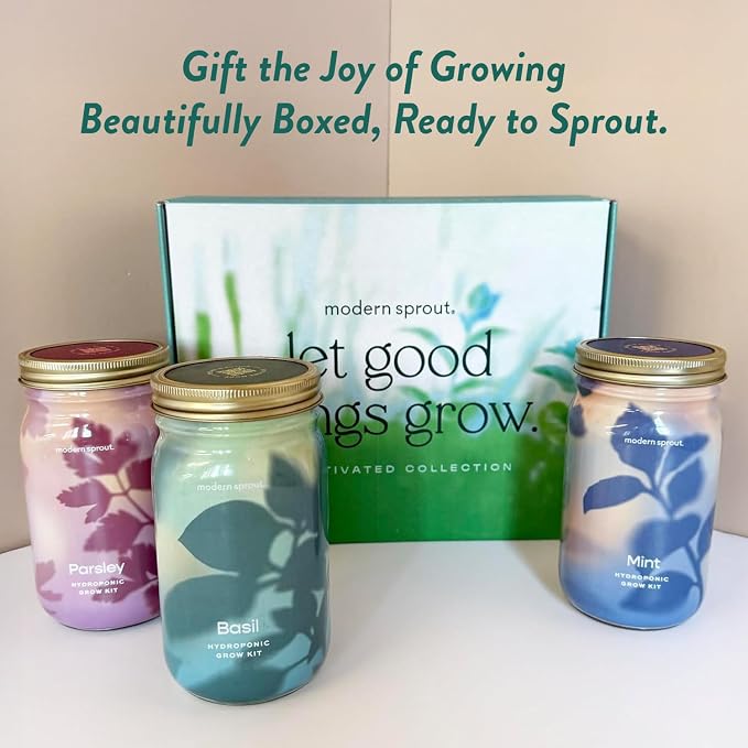 Modern Sprout Garden Jar Gift Pack - Self-Watering Hydroponics Growing System Kit with Organic Herb Seeds - Seed Starter Kit for Indoor Herb Garden - Home Decor & Gifting - Basil, Parsley & Mint