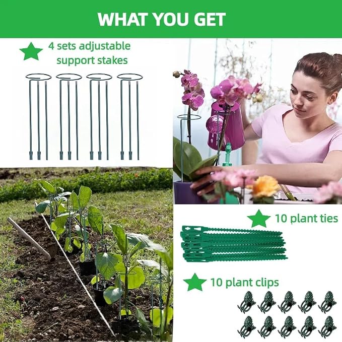 4-Pack Adjustable Plant Support Stakes - Heights: 12"/24"/36" - Stainless Steel & Deep Green - Plant Stakes for Indoor & Outdoor Plants, Gardens, Flowers, Tomatoes, & Vegetables