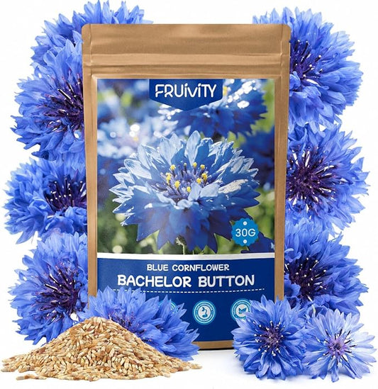 6000+ Cornflower Seeds Perennial for Planting – Blue Bachelor Button Seeds, Pollinator Friendly Flower Seeds for Outdoor Garden, Attract Bees & Butterflies