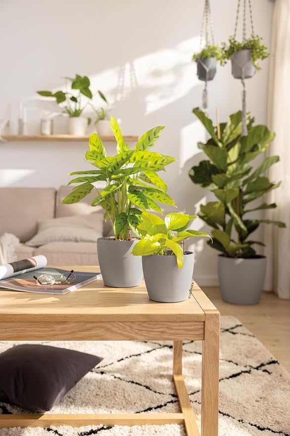 LECHUZA Classico Colour 14 Table Pot White Planter with Watering System, Water Level Indicator and Plant Insert, Matte Surface, Diameter 15 x 13.5 cm, 16696