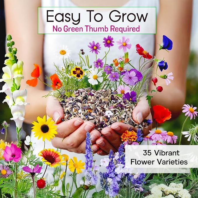 NatureZ Edge Wildflower Seeds Mix – 1/4 lb, 170,000 Seeds, 35 Variety Perennial & Annual Flower Seeds to Plant Outside, Bulk Wildflower Seeds, Wild Flower, Semillas de Flores