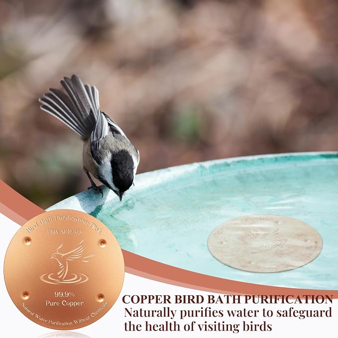MorningRo Bird Bath Copper Disk, 0.8mm Thick 99.99% Pure Copper Birdbath Purification Disk, Solar Fountain for Bird Bath with 4 Point Support for Safe Birdbath Cleaner(2 Pcs)