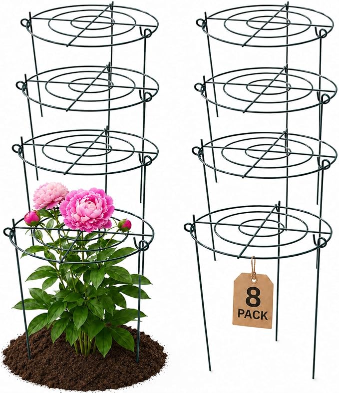 Peony Cages and Supports, 8 Pack 12 in x 15.7 in Metal Grow-Through Plant Support Rings, 3-Leg Garden Stakes for Peonies, Roses, Hydrangeas, Dahlias & Tomato Plants