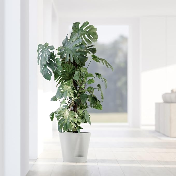 Ecopots Venice 2 Durable Modern Round Indoor/Outdoor Recycled-Based Composite Flower Pot Planter w/Water Reservoir, Pure White, 12"