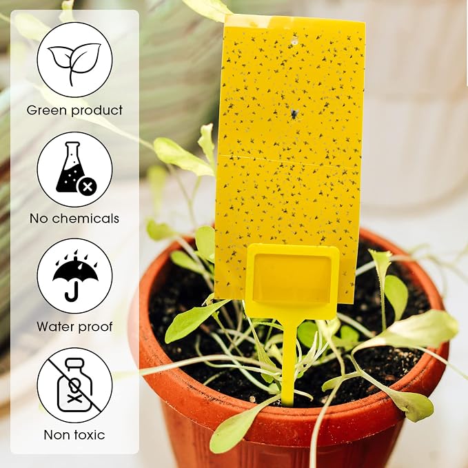 Qualirey 220 Pcs 7.9 x 4 Inch Yellow Sticky Traps for Plant Gnats Dual Sided Fruit Fly Sticky Traps for Indoors Outdoors with Twist Ties & Plastic Holders for Insect, Fungus Gnats, Whiteflies, Aphids