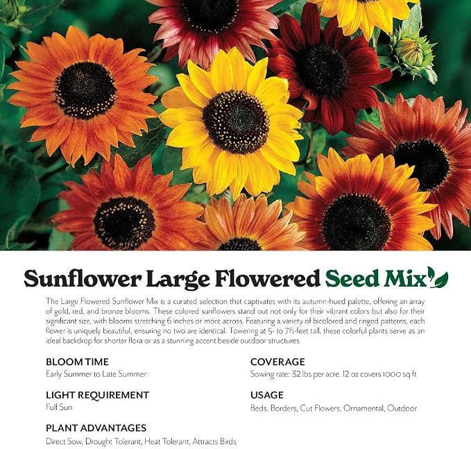 Grow Your Own Vibrant Annual and Perennial Wildflower Garden Seeds Mixture, Varieties for Pollinators and Spring Gardens - Large Colored Sunflower Mix, 5 lbs