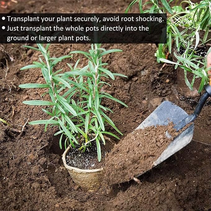 100-Pack 4 Inch Organic Peat Pots for Seed Starting Pots - Biodegradable Plantable Nursery Pots with Drainage Holes, Small Seed Starting Starter Tray, Eco-Friendly & Compostable Seedling Containers