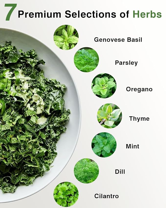 Gourmet Herb Seed Pod Kit for AeroGarden, idoo, Ahopegarden, MUFGA with Basil, Parsley, Thyme, Mint, Cilantro, Dill, Oregano - Compatible with All Hydroponics (12-Pod)
