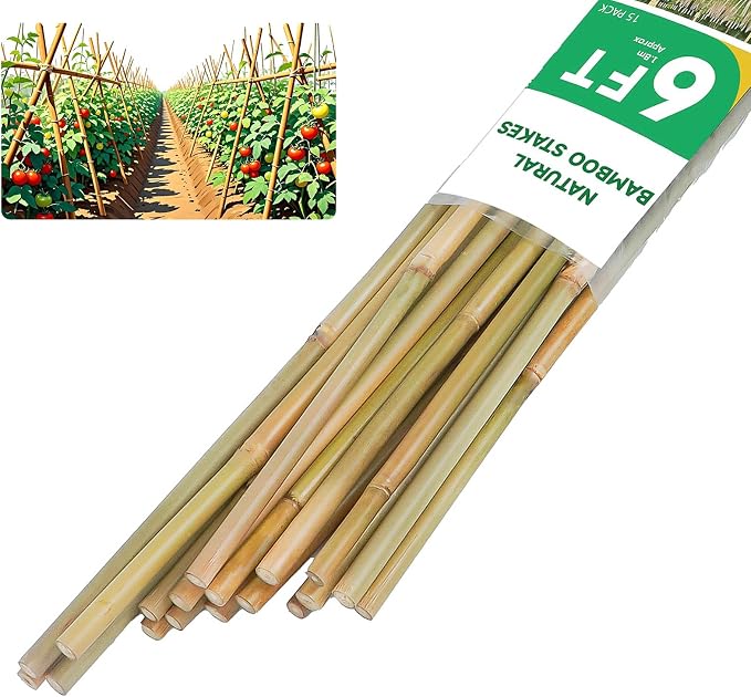 Natural Bamboo Plant Stake（6FT 15Pcs） Sturdy Bamboo Poles, Durable Plant Bamboo Stake, Garden Climbing Plant Bracket.
