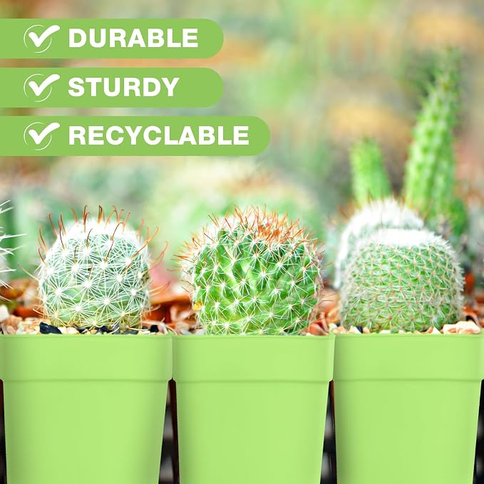 Amyhill 100 Pcs 4 Inch Flower Pots Square Plants Nursery Pot Plastic Plant Seedling Pots Small Nursery Transplanting Planter Container with Saucer for Indoor Succulent Balcony Garden (Green)