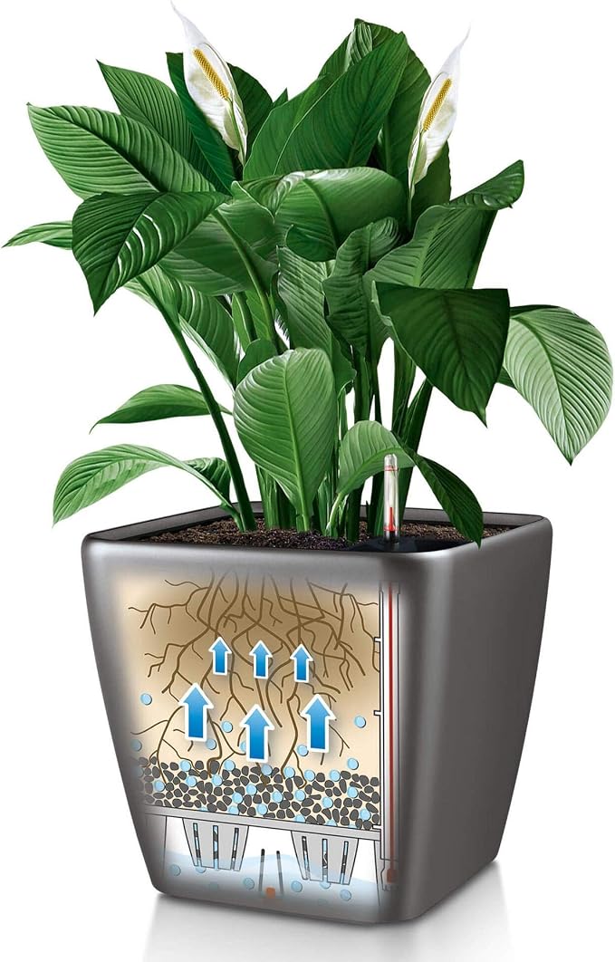 Lechuza Quadro LS 28 Charcoal Metallic, Self-Watering Square Planter, H10.2 L11 W11 in