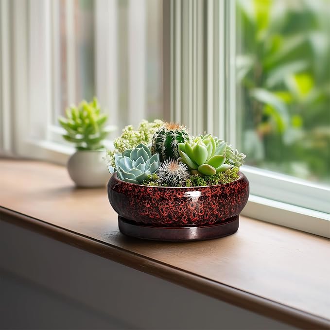 Succulent Planters 6 Inch - Ceramic Bonsai Pots with Drainage Hole and Saucer, Small Bonsai Planter, Round Planter Bowl, Shallow Plant Pots Indoor, Room Decor, Gifts for Plant Lovers, Red