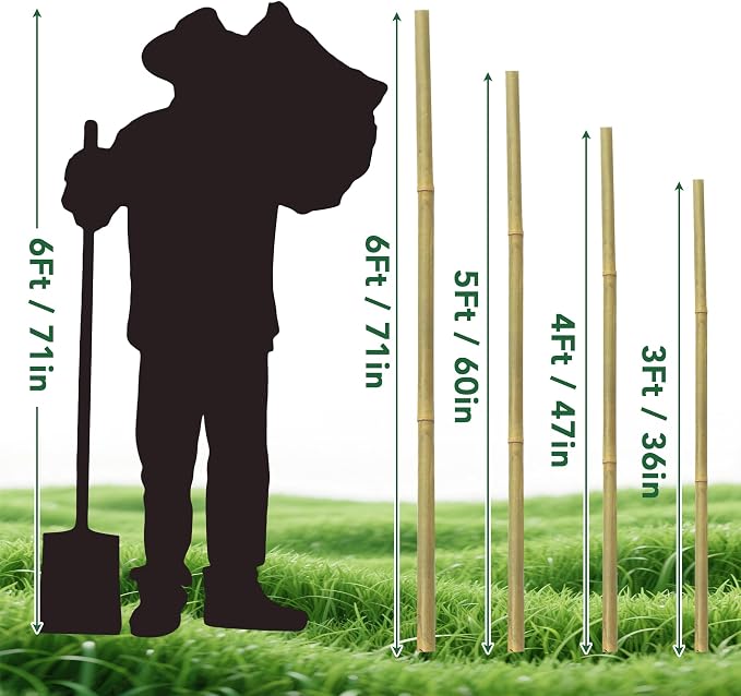 55 Pcs Bamboo Plant Stakes 6 Feet, Oltara Natural Bamboo Sticks Garden Stakes for Climbing Plants Support, Potted Plants, Vegetables,Tomatoes, Beans, Flowers, Trees