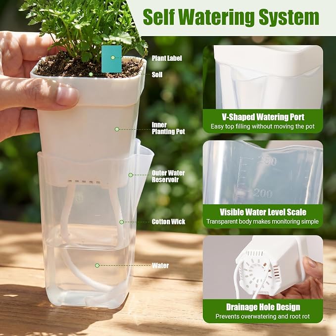 30 Pack 2" 2.5" Small Self Watering Pots for Indoor Plants Clear Mini Self Watering Plant Pot with Water Level Drainage Holes 30 Plastic Label 3 Planting Tools Rope for Propagation Succulent