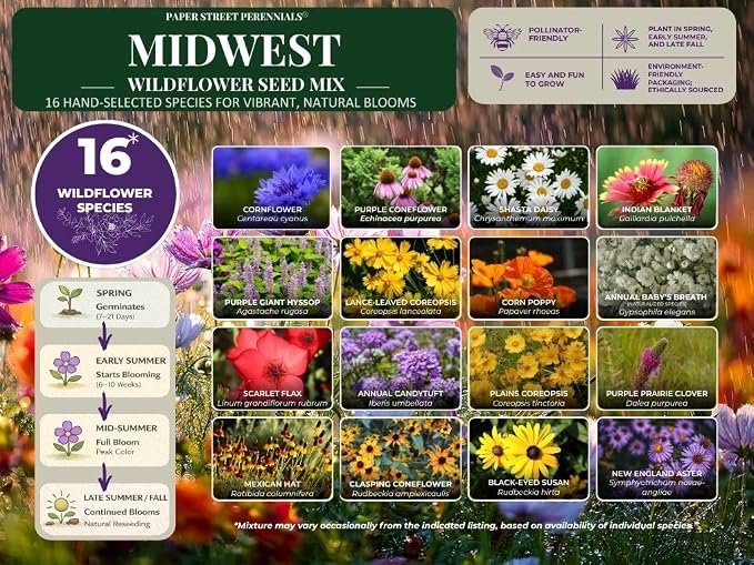 Wisconsin Bulk Perennial and Annual Wildflower Seed Mix 1lb Covers 2,000sq-ft - Attract Pollinators, Multi-Color Blooms - Midwest US Species Plant in Spring/Fall - Earth-Friendly Packaging (1 Pound)