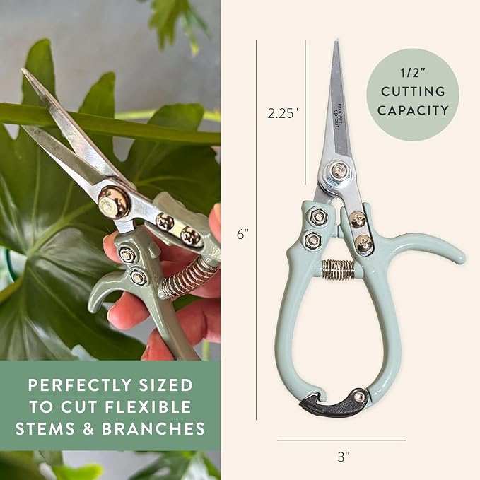 Modern Sprout Pruning Shears - Herb Snipping Scissors- Lightweight Gardening Tools W/Easy Lock - Flower Cutter Garden Shears - Carbon Steel Blade + Plastic-Free Reusable Holster (Multicolor 12 Pcs)