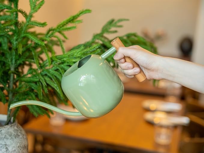 Green Moon 1.2L/41oz Metal Metal Watering Can with Long Spout, Sage Green | Metal Stainless Steel Watering Can for Indoor Plants, House Bonsai, Succulents, and Garden Flowers, Decorative Watering Cans