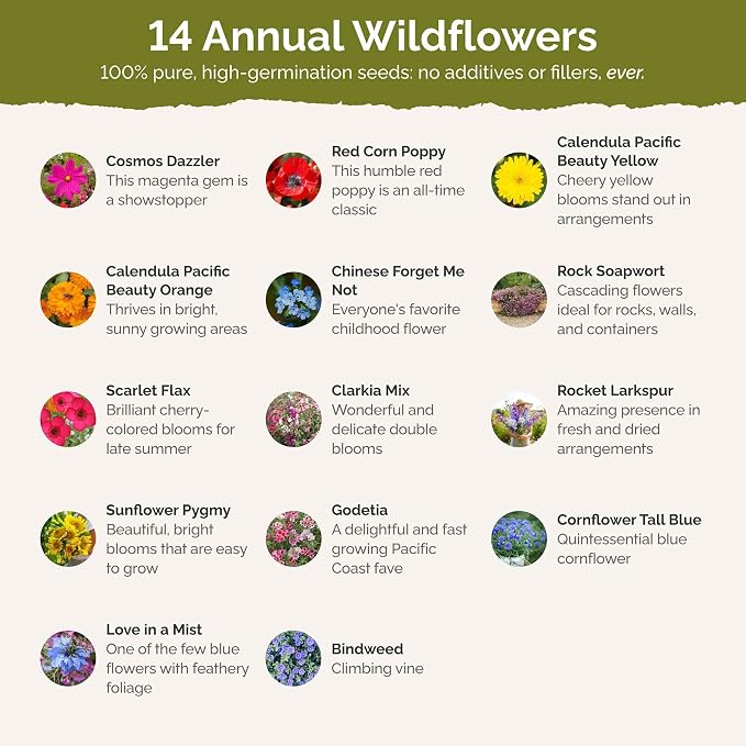 Eden Brothers Fairytale Flower Mixed Seeds for Planting, 5 lb, 2,400,000+ Seeds with Calendula, Cosmos Dazzler, Cornflower, Attracts Pollinators, Plant in Spring or Fall, Zones 3, 4, 5, 6, 7, 8, 9, 10