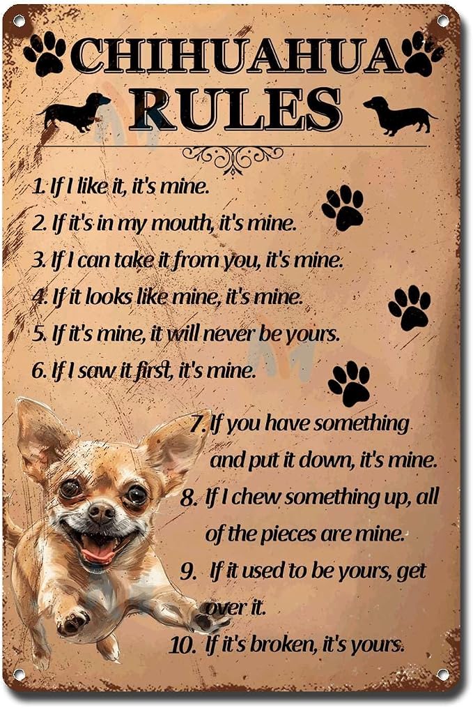 Metal Sign Tin Sign Vintage Wall Art Chihuahu Rules Tin Sign Gift for Club 6×8 Inches