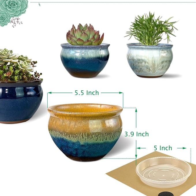 5.5 Inch Succulent Pot with Drainage and Free Saucer Glazed Terracotta Round Ceramic Succulent Planter Cactus Bonsai Plant Pot (Set of 4)