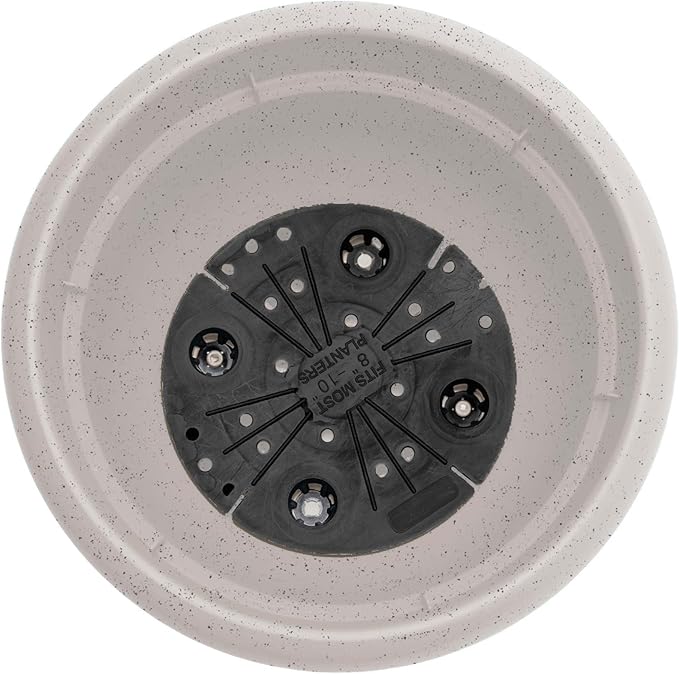 Bloem Ariana 10" Vanilla Bean Round Self Watering Planter Pot - Rolled Rim Plastic Resin Indoor or Outdoor Gardening Planter with Drainage Holes, Made in USA