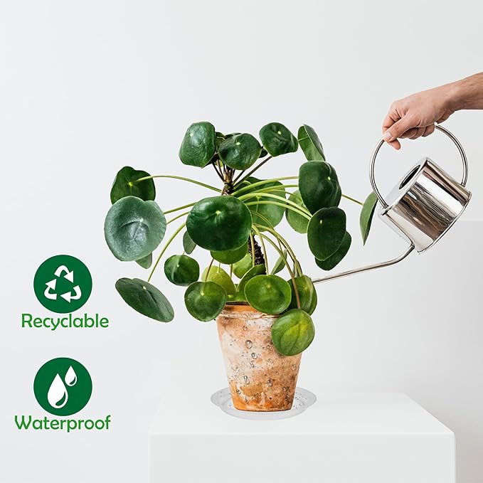 12 Pack 8 Inch Round Plant Saucers for Less 6.8 Inch Pot Indoors Outdoors Plant Trays for Pots Planter Saucer Plastic Plant Drip Tray Planter Water Tray for Potted Plants (Clear, 8"(12pcs))