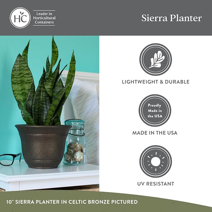 The HC Companies Sierra Round Self-Watering Pot - Lightweight Plastic Planter for Herbs & More - Durable Plant Pots for Indoor Plants & Outdoor Plants (7.5” Black Onyx, Pack of 1)