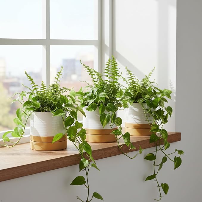 HASENSE Small Plant Pots, 4.6 Inch Ceramic Flower Pots with Two-Tone Glaze Design, Indoor Outdoor Planter with Drainage Hole and Saucer, Cute Tabletop Decor, 4 Pack, White-Brown