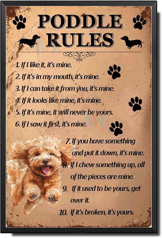 Metal Sign Tin Sign Vintage Wall Art Poddle Rules Garden Sign for Bar 12×16 Inches with Metal Frame