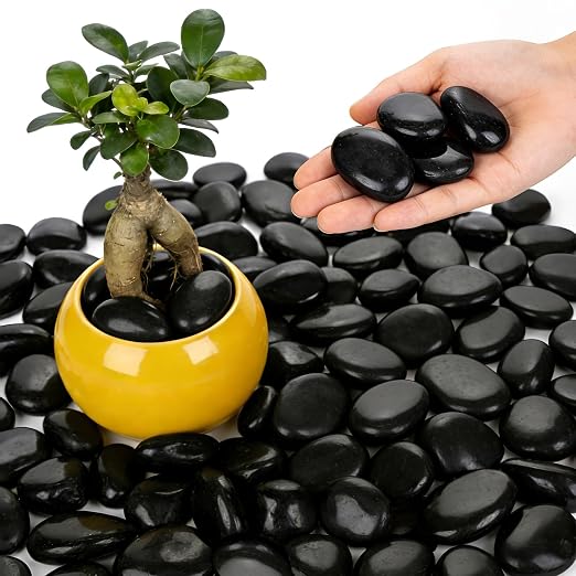 1-2 Inch Black River Rocks, 6LB Polished Natural Decorative Pebbles for Indoor Plants, Planters, Vase Fillers, Fish Tank Rocks, Aquarium Decor, Garden Landscaping & Outdoor DIY