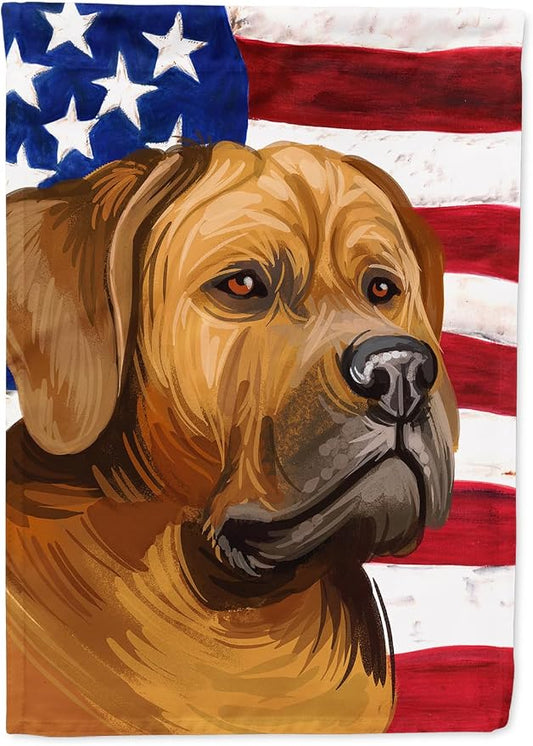 Caroline's Treasures CK6741CHF Tosa American Flag House Flag Large Porch Sleeve Pole Decorative Outside Yard Banner Artwork Wall Hanging, Polyester, House Size, Multicolor