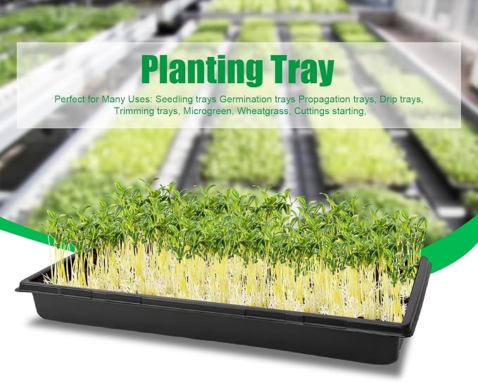RooTrimmer 10 Pack 1020 Trays, Extra Thick Heavy Duty Seed Starting Trays - No Holes, No Leak, Reusable Propagation Flats for Microgreens, Seedlings, Plant Germination, Fodder and Transplant