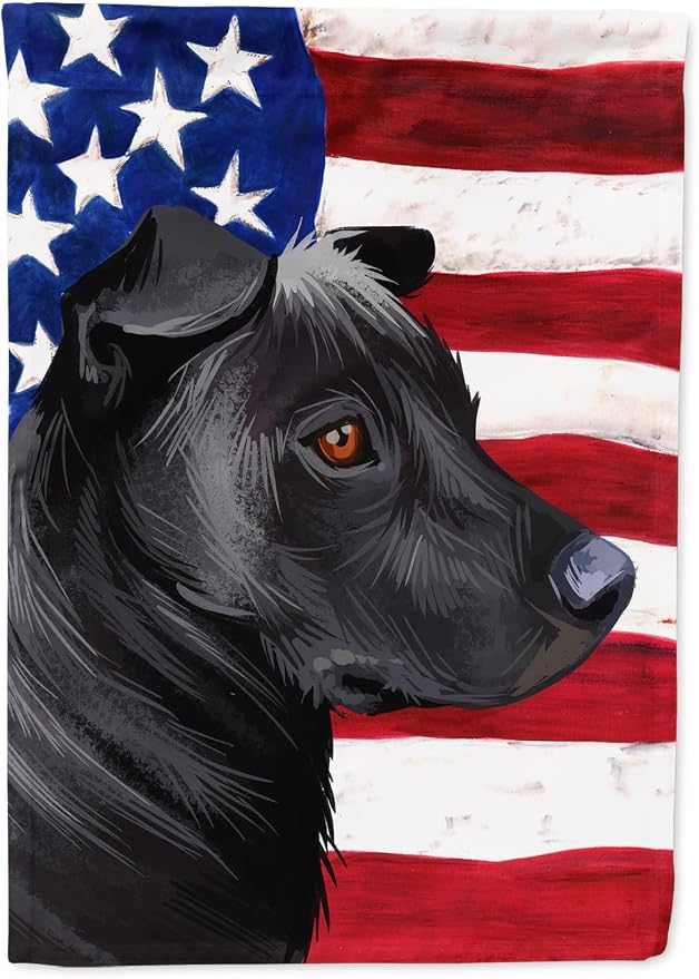 Caroline's Treasures CK6644GF Phu Quoc Ridgeback Dog American Flag Garden Flag Mailbox Flag Decorative Yard Flag Banner Outside Patio Artwork Yard Flower Beds, Garden Size, Multicolor